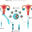 수정이화약국 이미지