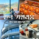 리움 | 만덕 대형카페 카엘리움 내돈내산 후기, 부모님과 함께 가기 좋았던 곳