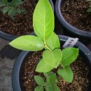 기산농장 이미지