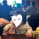 미담한약국 | 라라라온 (라온), 박빼빼 맛집 구프오프, 노매딕 비어가든 수제맥주, 연와미담, 전주 동물원 후기까지!!