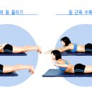 미라인한의원 이미지