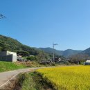 행원정농업조합법인 이미지