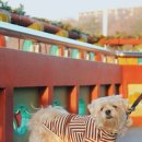 프로스카이 짐 이미지