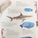 환경을 생각하는 업사이클링 팝업북 이미지