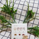 신통한약방 | 건강에 좋은 한방차는 대구약령시 약령몰에서 구입하세요
