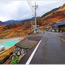 매화마을 태양광발전소 이미지