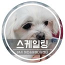 해든덴탈 이미지