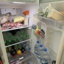 냉이꽃 민박 이미지