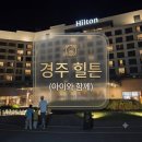 딜리버리킹 | 🐻​​[경주 숙소 추천] 경주 힐튼 호텔 디럭스 투 킹 베드, 아이와 2박 3일 솔직후기