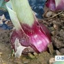 다래골농장 이미지