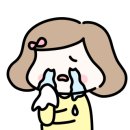 황소식육점 - 정선군 사북중앙로 42 | 황소식육점