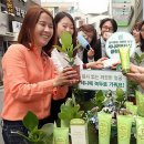 세니떼 뷰티샵 이미지