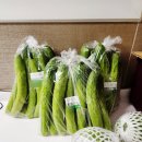 오이공인중개사사무소 이미지