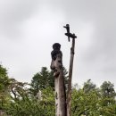 진또베기 이미지