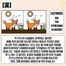 그림으로 보는 심리테스트~ 이미지