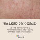 벧엘피부과의원 이미지