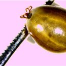 보건환경연구원 이미지