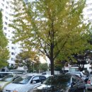 원주종합체육관 이미지