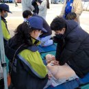 용인대석사청무태권도 이미지