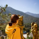 자수정동굴나라 이미지