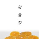 크라우드PC 서귀포점 | 와디즈펀딩 / [추석 전 배송] 6차앵콜로 돌아온 상큼하고 향긋한 제주도 선물용 황금향