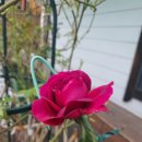 뽑기좋은날 이미지