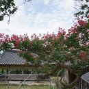 선국사 대웅전 이미지