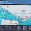 가산공원 축구장 티스토리
