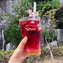 하나음료 이미지