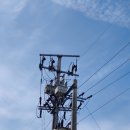 상형농장 이미지