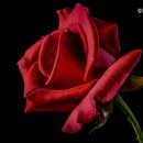 성운환경 | 서초구 거동 불편한 부모님 위한 추천 요양원 성운휠링 성운휠링, 안심 요양 서비스