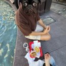 팬지앤발바닥천국 | [미국여행] 라스베가스 2일차 (스피어, 몬아미가비, 윈뷔페, 기념품 스토어, 인앤아웃, 부가티)