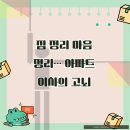 금왕시티프라디움아파트 이미지