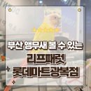 주식회사 리프패럿 | 부산 앵무새분양 직접 교감할 수 있는 도심 속 힐링낙원 리프패럿 광복점