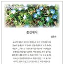 신은하 / 꽃길에서 이미지