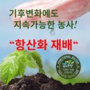 주식회사 스토리나무