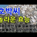 호박씨 놀라운 효능 이미지