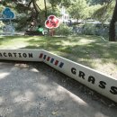 잔디휴가중 이미지