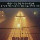 모소(MOSO) Daum카페