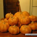 문경문화원 이미지