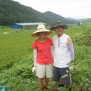 아벨농장 이미지