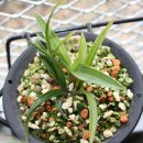 신아식당 이미지