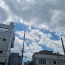(주)동부그린 | 리모델링한 대구시립동부도서관에 다녀왔습니다.(07.15.수-07.16.목)