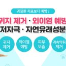 스토리펫 이미지