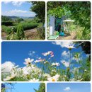 풍경농장 이미지