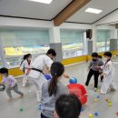 (주)용인대월드태권도1관 | 거제동/연산동태권도 [경동롯데월드태권도] ::유아발달에 좋은 즐거운 주말 유아체육활동