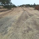 선림농장 이미지