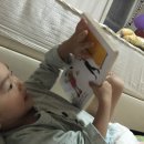 철우농장 네이버블로그