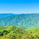 야생화 천아트(초·중급) | 한국 100대 명산 기획여행 ⑭ 경기 포천 백운산 — “계곡의 초록과 능선의 바람을 한날에”