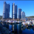 동삼어촌계 유어장 낚시터 이미지